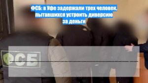 ФСБ: в Уфе задержали трех человек, пытавшихся устроить диверсию за деньги