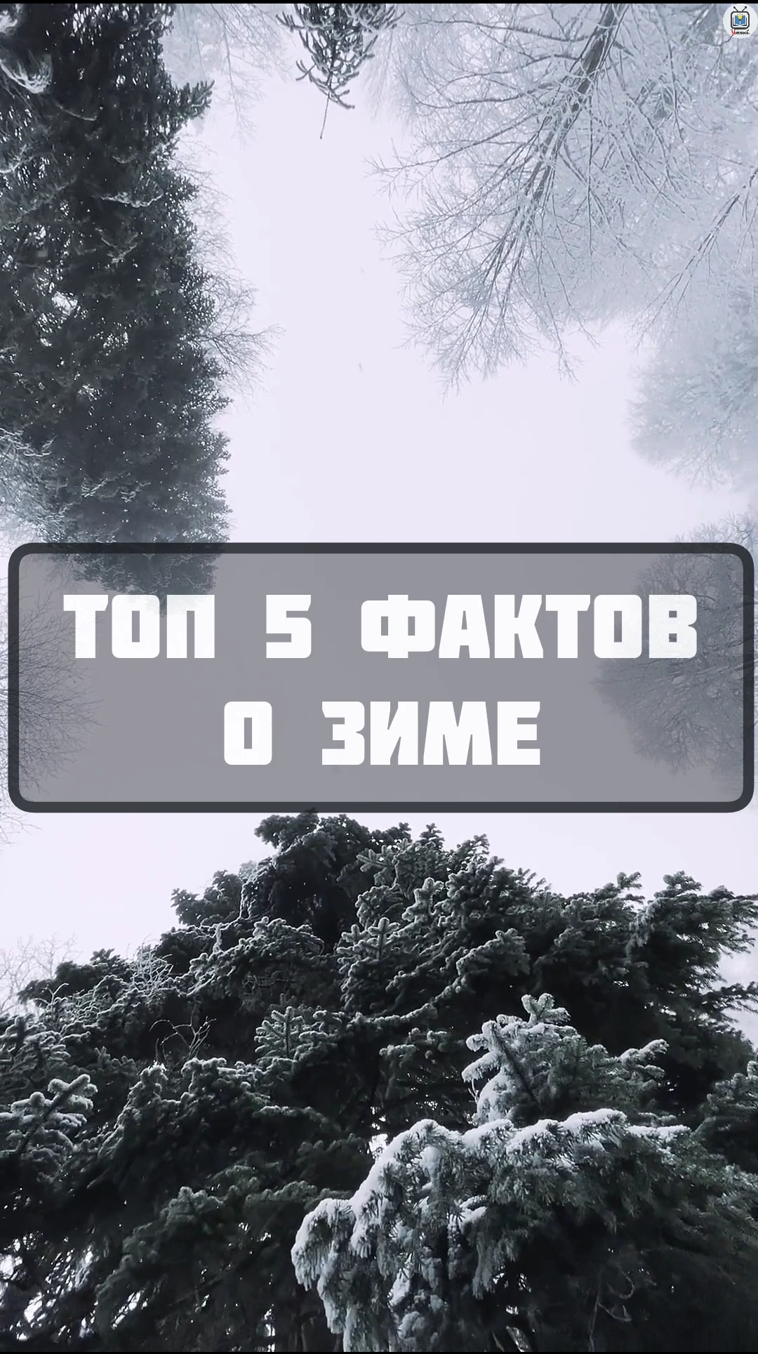 Топ 5 фактов о зиме / интересные факты о снеге