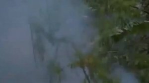 Киноприколы и приколы с фильмов