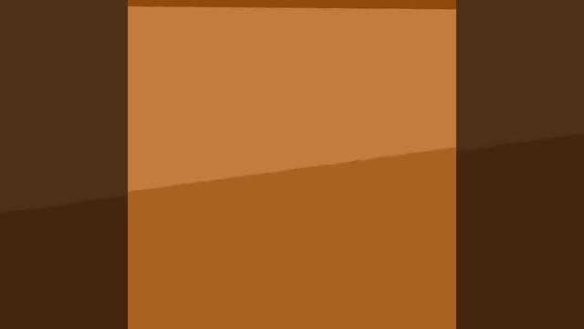 Красивые пауки-птицееды и насекомые смотреть онлайн