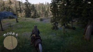 RDR2 Мастер охотник 5 : Охота на пуму