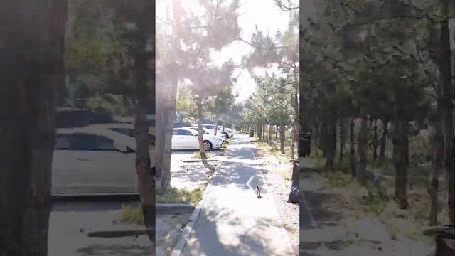 Как пройти в Йога Шалу смотреть онлайн