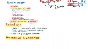 KANSEROGENLAR [Cancerogenic agents]