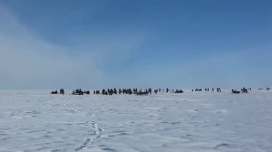 Ловля судака на Рыбинском водохранилище