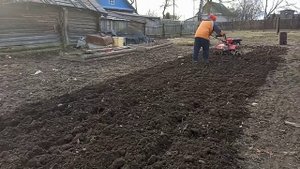 Сезон начался культивация почвы 2022 культиватором асилак