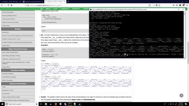 TJCTF 2018 Mirror Mirror Writeup
