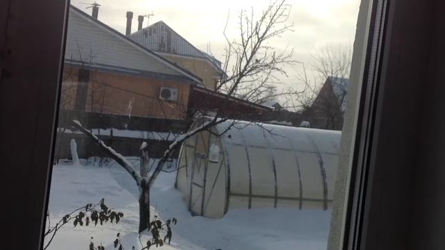 Варю щи/ Курам морковь , птичкам семечки/ Чубайс на моей кровати смотреть онлайн