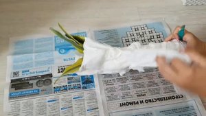 РЕДКИЕ сортовые САНСЕВИЕРИИ почтой | сансевиерия орхидея тещин язык щучий хвост sansevieria