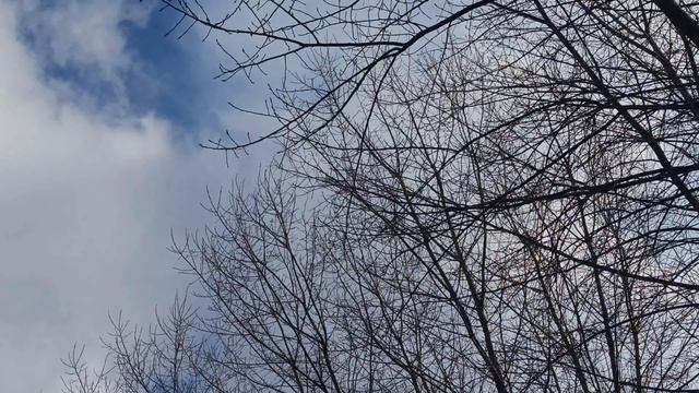 7 апреля - Благовещение Пресвятой Богородицы. Что можно и нельзя делать. Народные традиции и примет смотреть онлайн