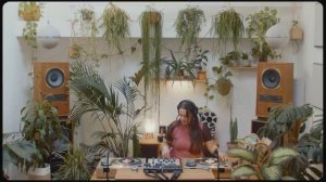 A Journey Through Moroccan Music with Monstera Occulta