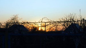 ПРОЗРАЧНЫЙ УЛЕЙ для ПЧЁЛ: ВОЗВРАЩЕНИЕ [Live Today]