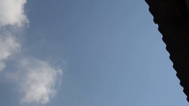 николаевские голуби Темрюк смотреть онлайн