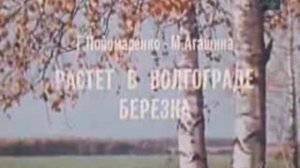 Растёт в Волгограде берёзка