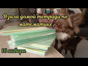 Взяла домой тетради первоклассников по математике