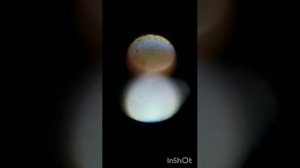 мой микроскоп, что можно увидеть под микроскопом???