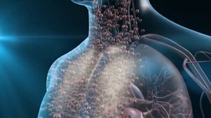 H -500 Водородный антиоксидант. Щелочная вода. Омоложение организма на клеточном уровне.