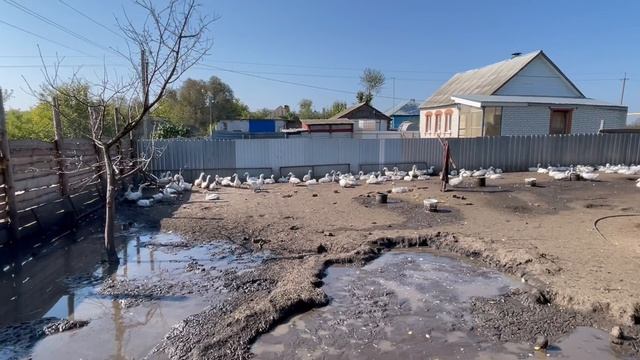 17-09-2023 смотреть онлайн