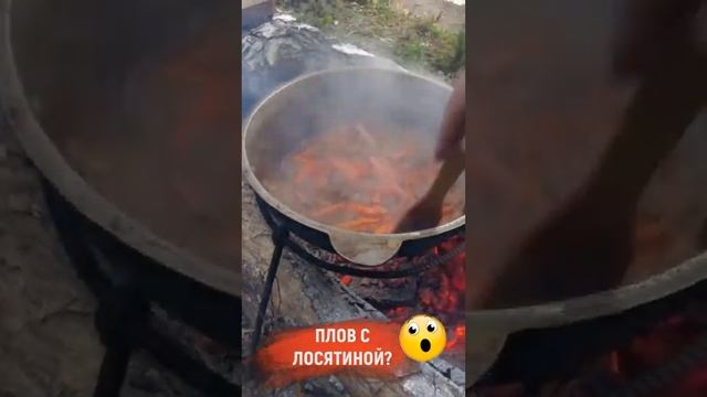 Плов из лосятины? Безумно вкусно!