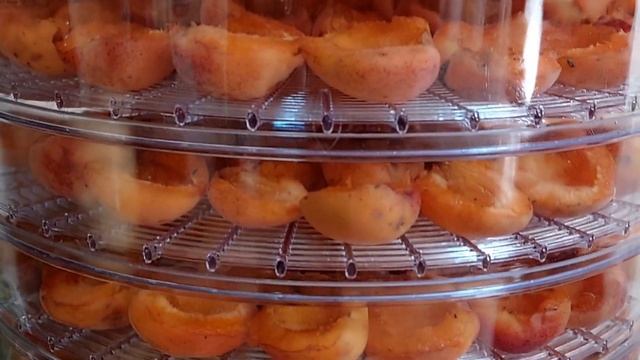 У СОСЕДЕЙ СЛУЧИЛСЯ ПОЖАР ГОТОВИМ КОМПОТ ИЗ АБРИКОС И ВИШНИ ДЕГИТРАТОР В ДЕЙСТВИИ? смотреть онлайн