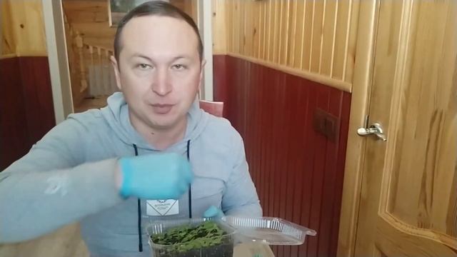КАЛЬЦЕОЛЯРИЯ и СХИЗАНТУС. Работа над ошибками. Опыт не пропьешь!!!
