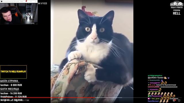 Hellyeahplay смотрит: UNUSUAL MEMES COMPILATION V103