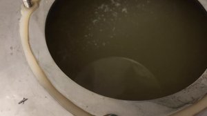 Рис на дрожжах кодзи ангел без пригара.