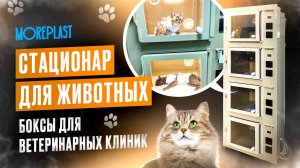 Стационар для животных. Боксы для ветеринарных клиник