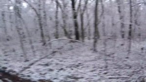 Удачный момент на испытаниях гончих 20161202 1414