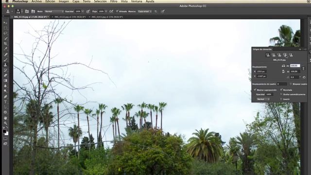 Clase 22 - Photoshop Pro en 35 Hr 2022 - Tampón de clonar