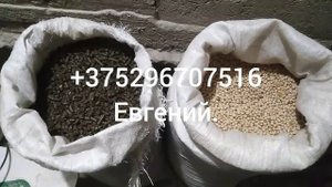 Подсолнечный шрот, горох, мел из Минска. Какие цены.