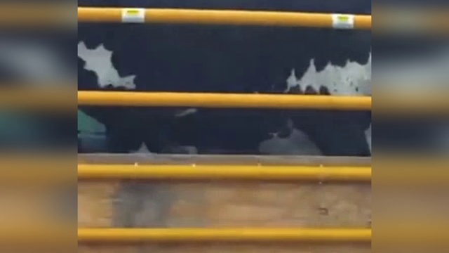 Трансформированные и удивительные автомобили! смотреть онлайн