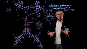 Лимфатическая система
