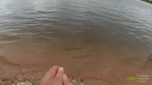 Как ловить на резинку чехонь. Как я закидываю резинку ! Лучший способ !!!