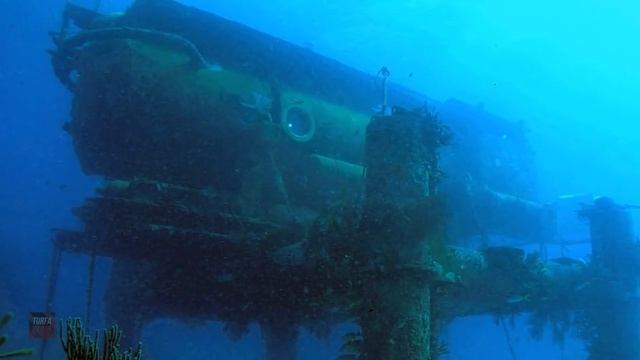 КУСТО ИСЛОМ ДИНИНИ КАБУЛ КИЛГАНМИ смотреть онлайн