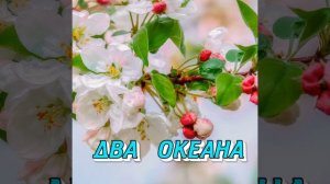 ДВА ОКЕАНА