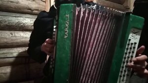 Rokiczanka lipka на гармони