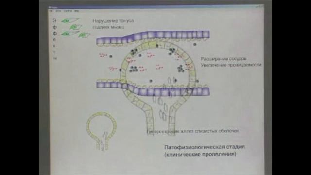 8. Аллергия