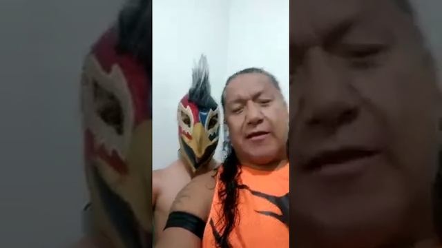 Felino y Perico Zacarias listos para la tarde de leyendas en Kingdom Wrestling este 23 de Feb 2020. смотреть онлайн