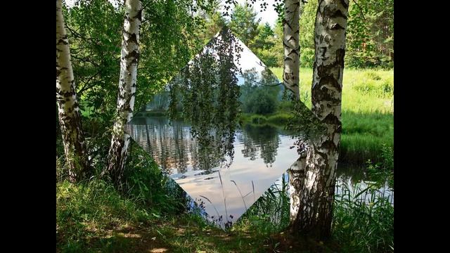 Красивое рядом #18 (Флора #2) Берёзы у воды смотреть онлайн