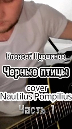 Черные птицы/cover Наутилус/А.Кувшинов #песниподгитару #акустика #каверподгитару #наутилус #бодров