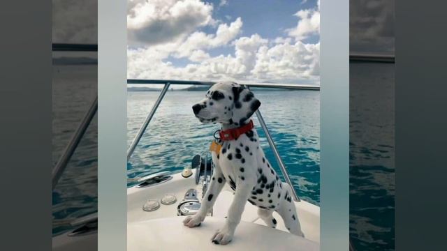 просто видео #2 смотреть онлайн