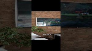 игра хап-хед