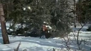 Тепло ль тебе,девица