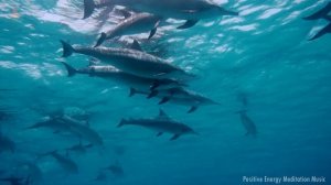 9 МИНУТНАЯ МЕДИТАЦИЯ ДЛЯ ЧРЕЗВЫЧАЙНЫХ МЫСЛИТЕЛЕЙ