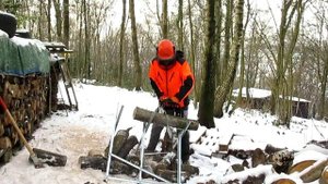 Stihl MS341