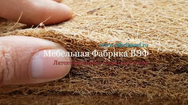 Кокосовая койра смотреть онлайн