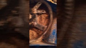 Обзор зернодробилки ЗУБР-1С