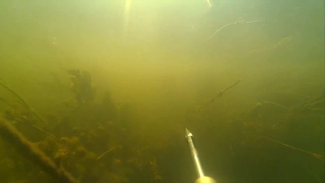 Подводная охота на Днепре смотреть онлайн