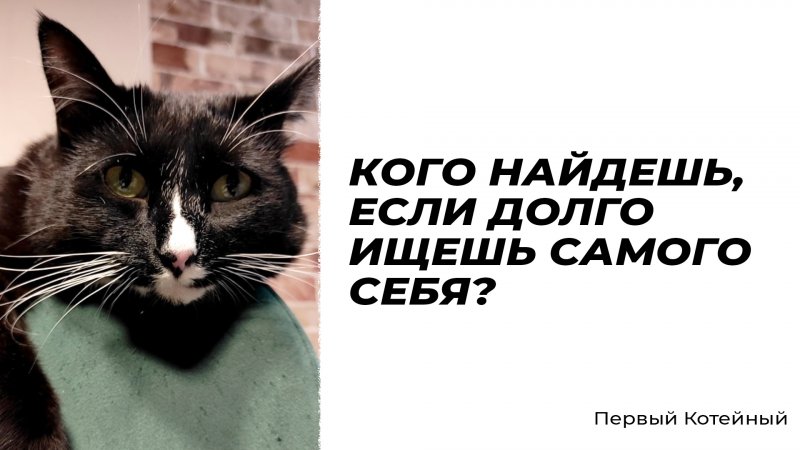 КОГО НАЙДЕШЬ, ЕСЛИ ДОЛГО ИЩЕШЬ САМОГО СЕБЯ? ?