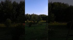 Квадроцикл с прицепом. Квадроцикл грузовой. Квадроцикл "фермер"